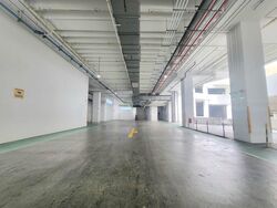 Jtc Defu Industrial City (D19), Factory #459016061